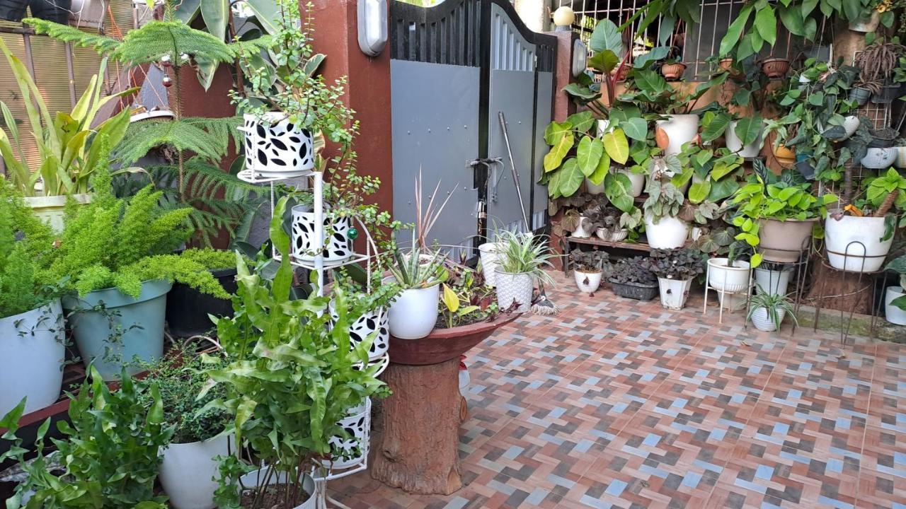 Dalinda'S Homestay Puerto Princesa Екстериор снимка